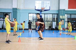 如何找到专业的篮球反应训练教练?全面指南与经验分享